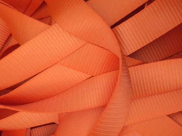 pp��������a���ݗU��������Ҫ���w�F